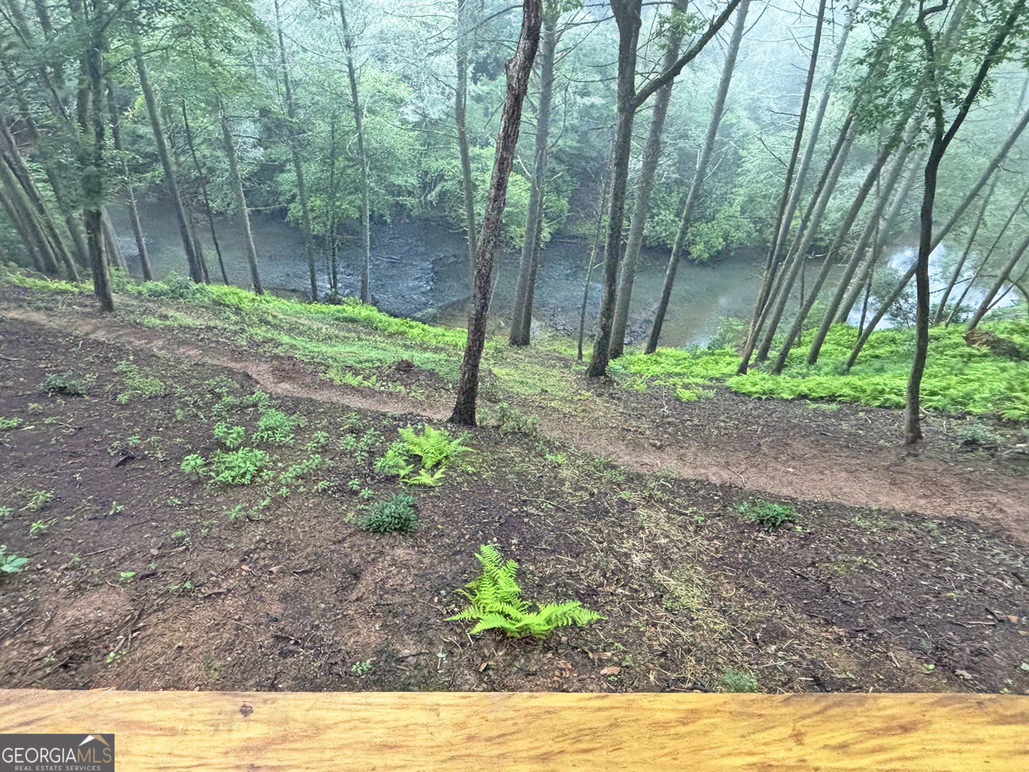 190 South Whitepath Circle Ellijay GA 30540
