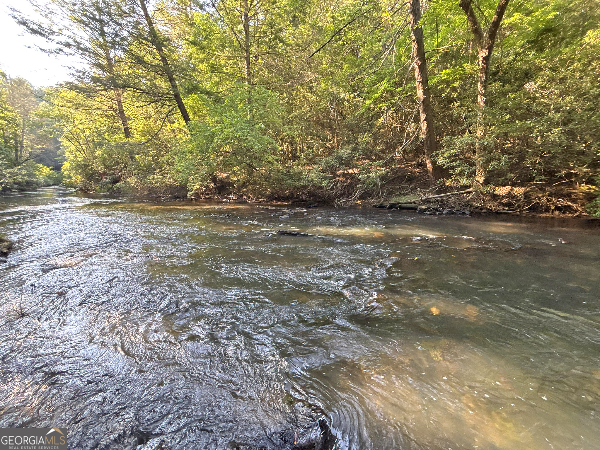 190 South Whitepath Circle Ellijay GA 30540
