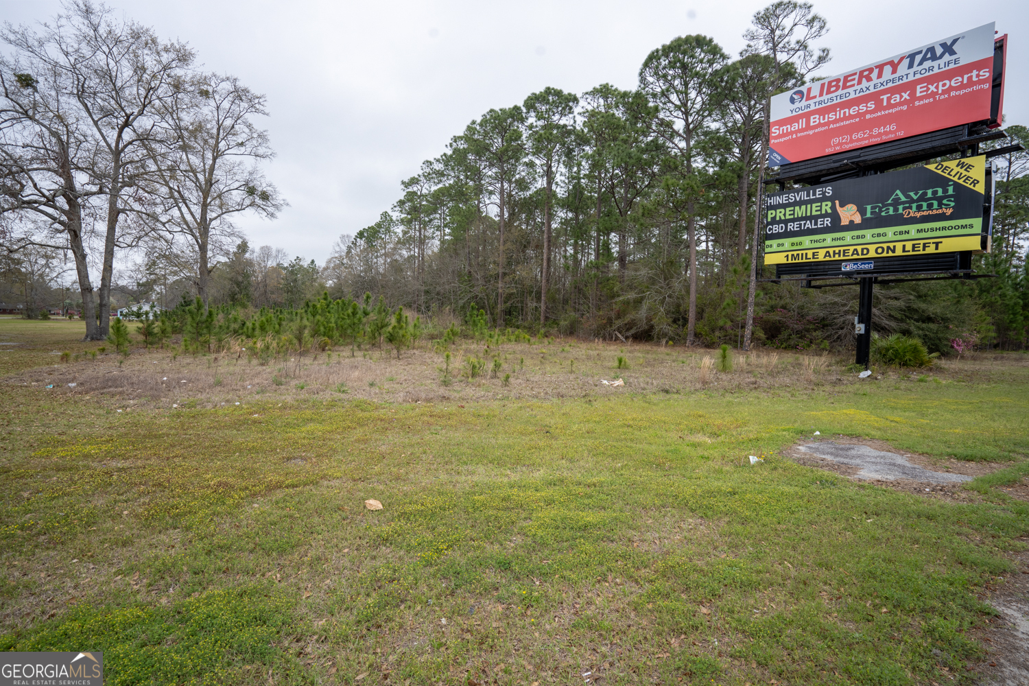 1.09 Ac Elma G Miles Parkway Hinesville GA 31313