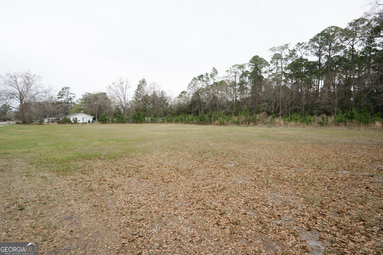 1.09 Ac Elma G Miles Parkway Hinesville GA 31313