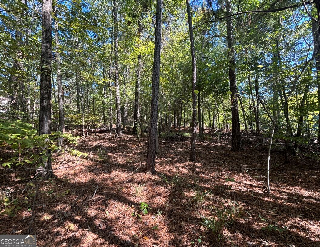 104 Little River Trail Eatonton GA 31024