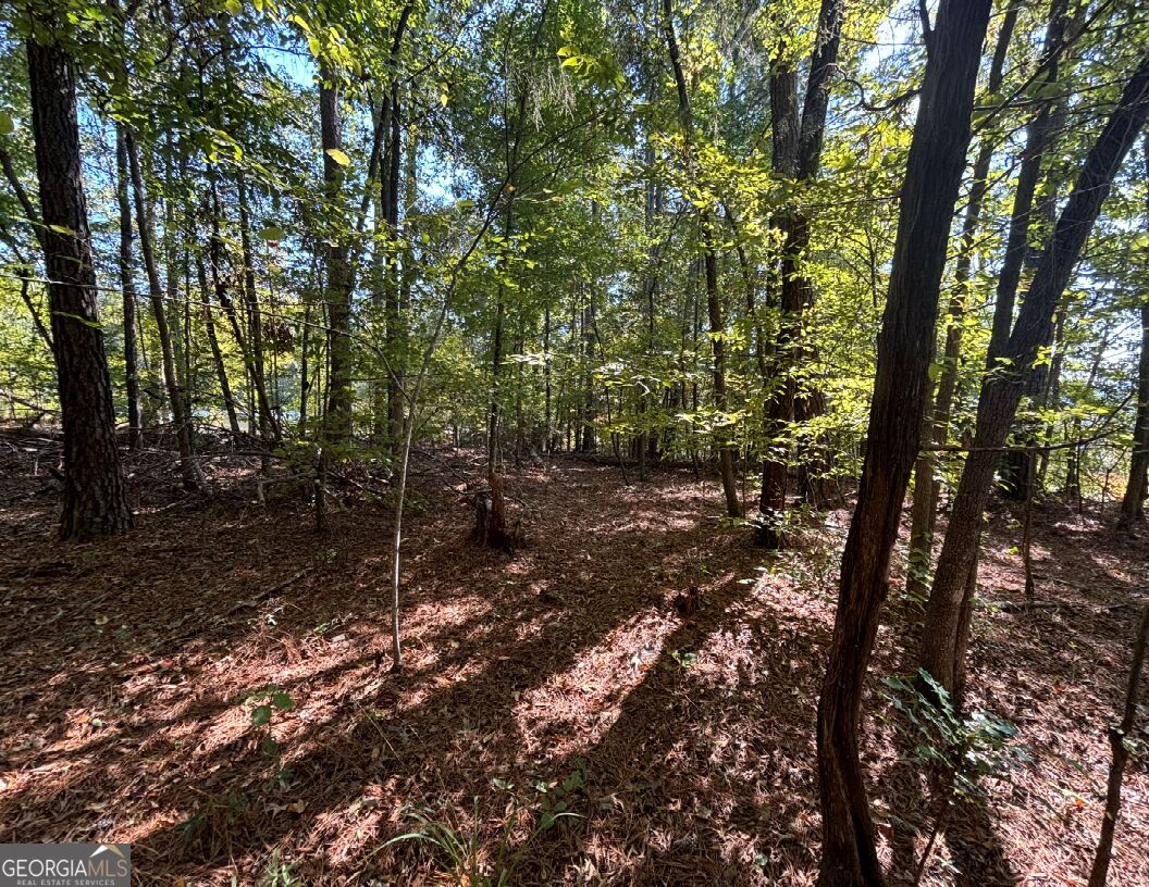 104 Little River Trail Eatonton GA 31024
