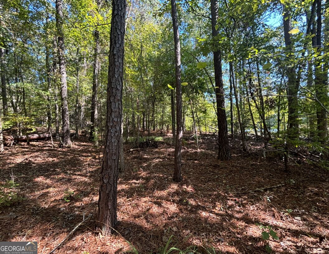 104 Little River Trail Eatonton GA 31024
