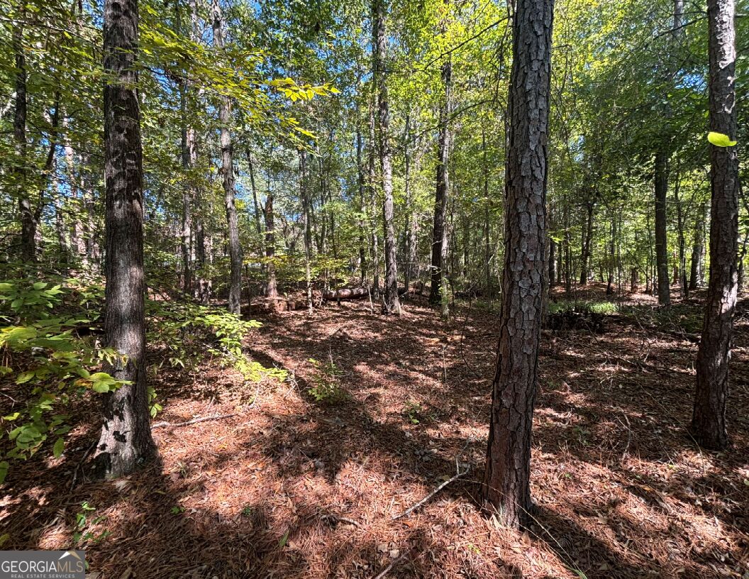 104 Little River Trail Eatonton GA 31024