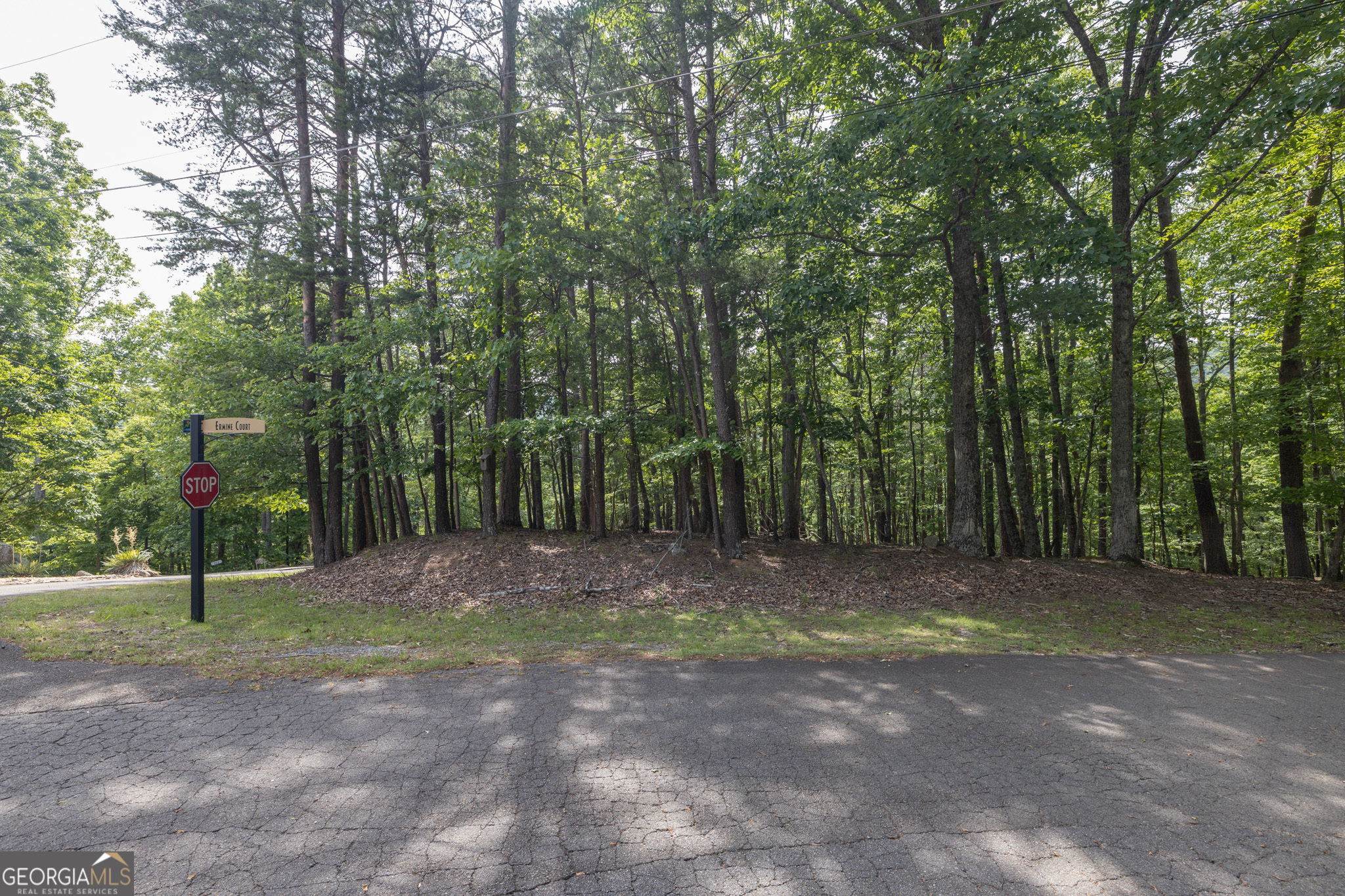 150 Sitting Bull Court Waleska GA 30183