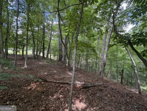 Lot 16 Calhoun Road Dahlonega GA 30533