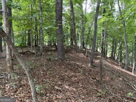Lot 16 Calhoun Road Dahlonega GA 30533