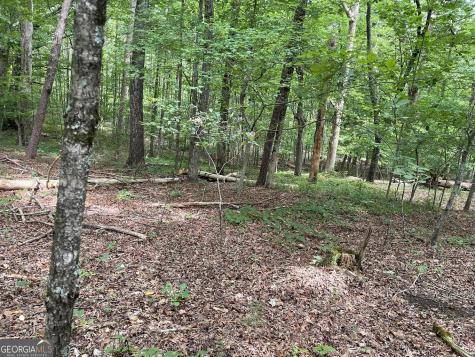 Lot 16 Calhoun Road Dahlonega GA 30533