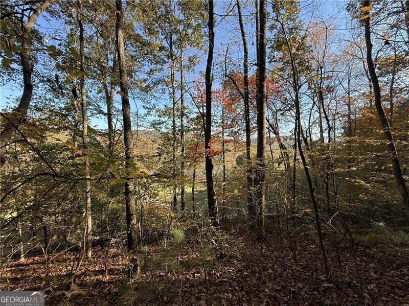 0 Ov Justus Road Rabun Gap GA 30568