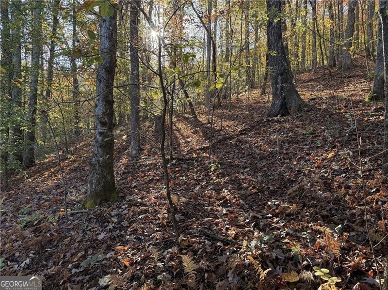 0 Ov Justus Road Rabun Gap GA 30568