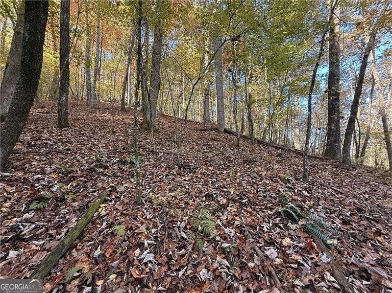 0 Ov Justus Road Rabun Gap GA 30568