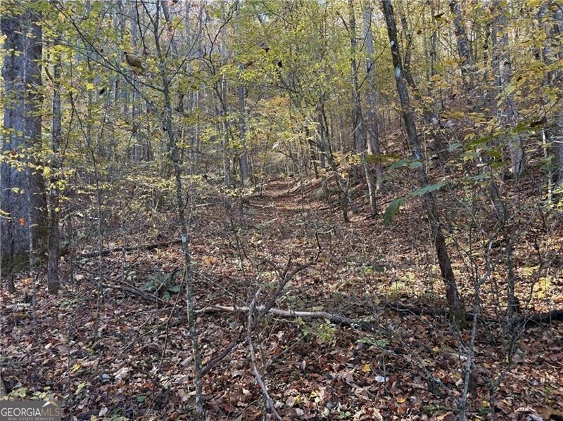 0 Ov Justus Road Rabun Gap GA 30568