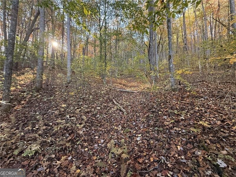 0 Ov Justus Road Rabun Gap GA 30568