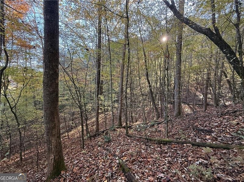 0 Ov Justus Road Rabun Gap GA 30568
