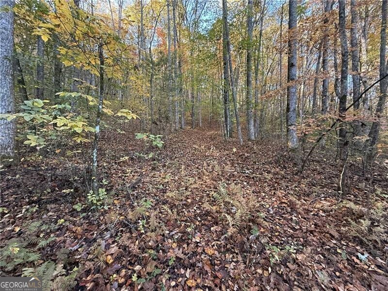 0 Ov Justus Road Rabun Gap GA 30568