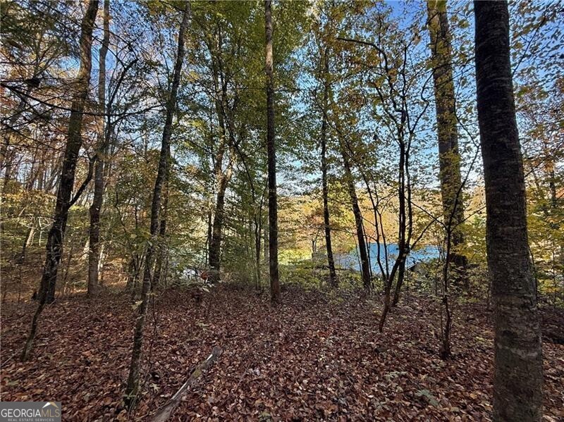 0 Ov Justus Road Rabun Gap GA 30568