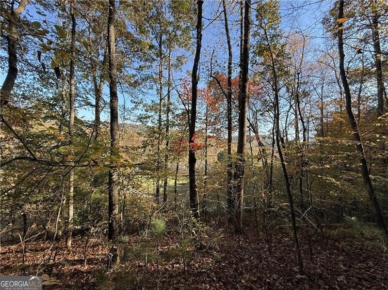 0 Ov Justus Road Rabun Gap GA 30568
