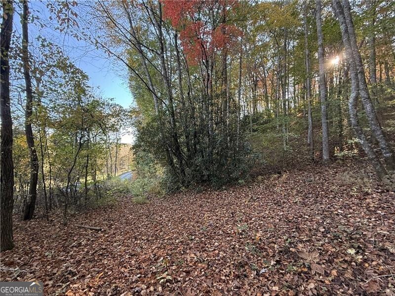 0 Ov Justus Road Rabun Gap GA 30568