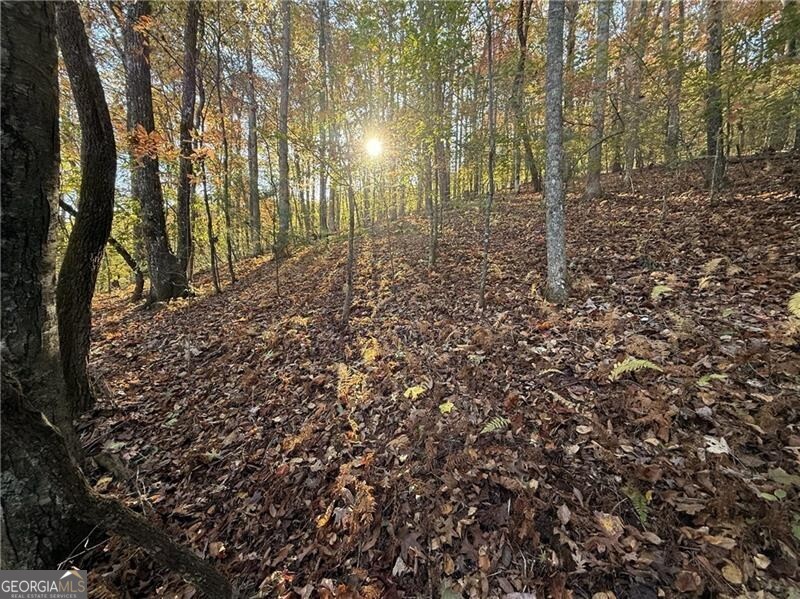 0 Ov Justus Road Rabun Gap GA 30568