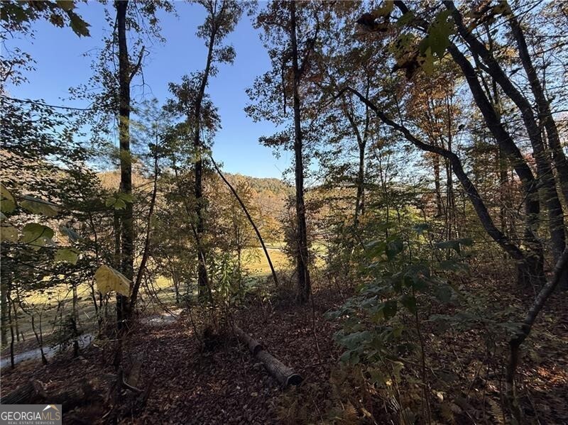 0 Ov Justus Road Rabun Gap GA 30568