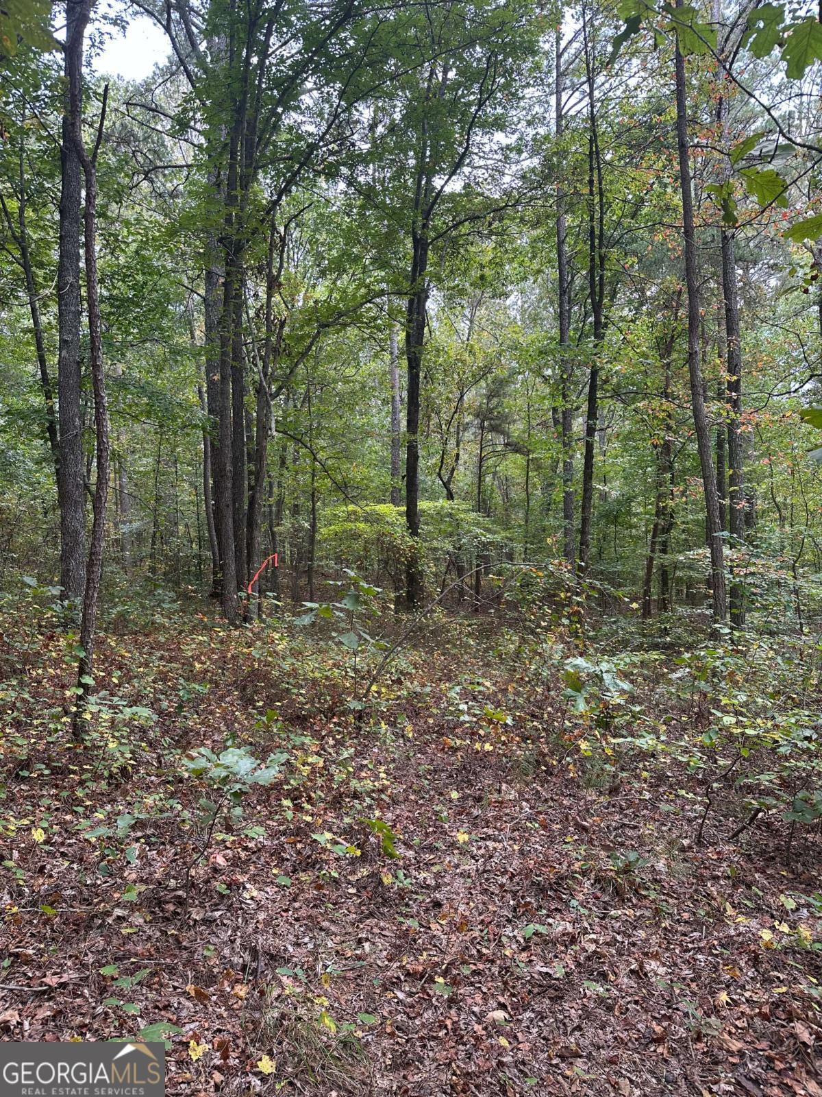 3842 Salacoa-tract A Waleska GA 30183