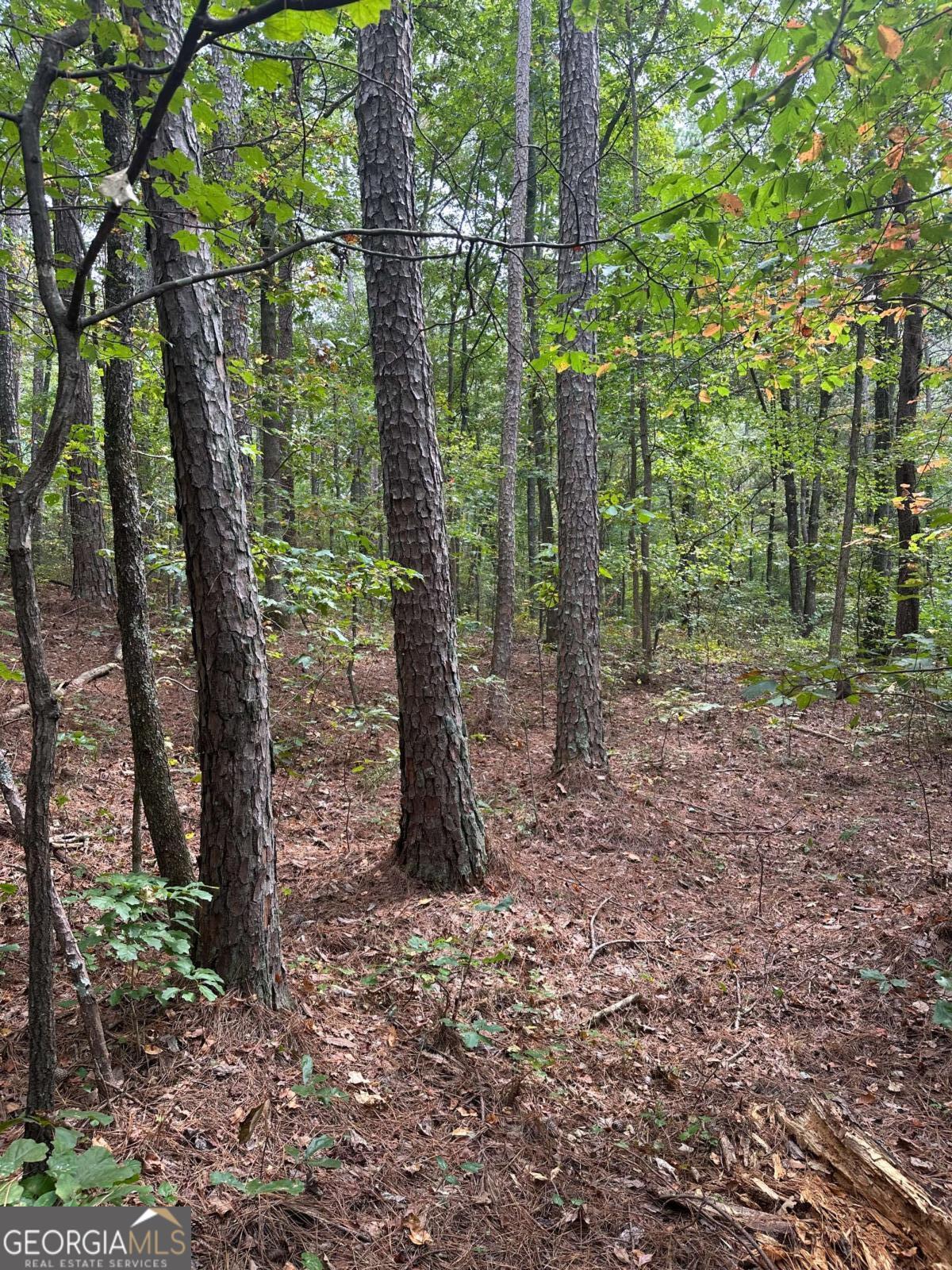 3842 Salacoa-tract A Waleska GA 30183