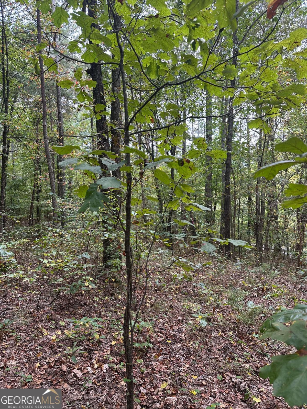 3842 Salacoa-tract A Waleska GA 30183