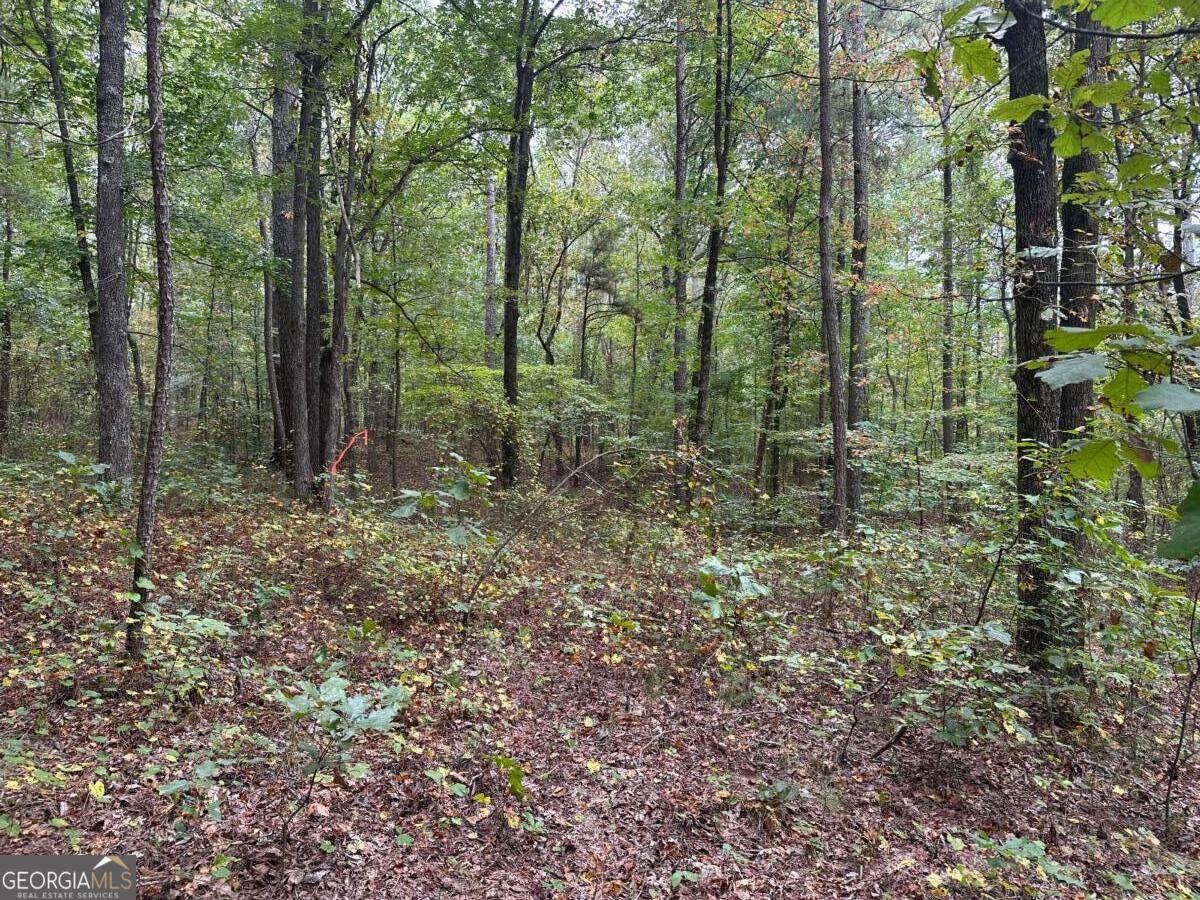 3842 Salacoa-tract A Waleska GA 30183