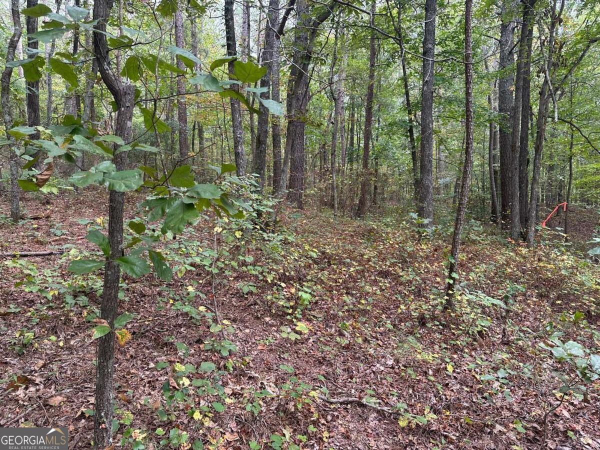 3842 Salacoa-tract A Waleska GA 30183