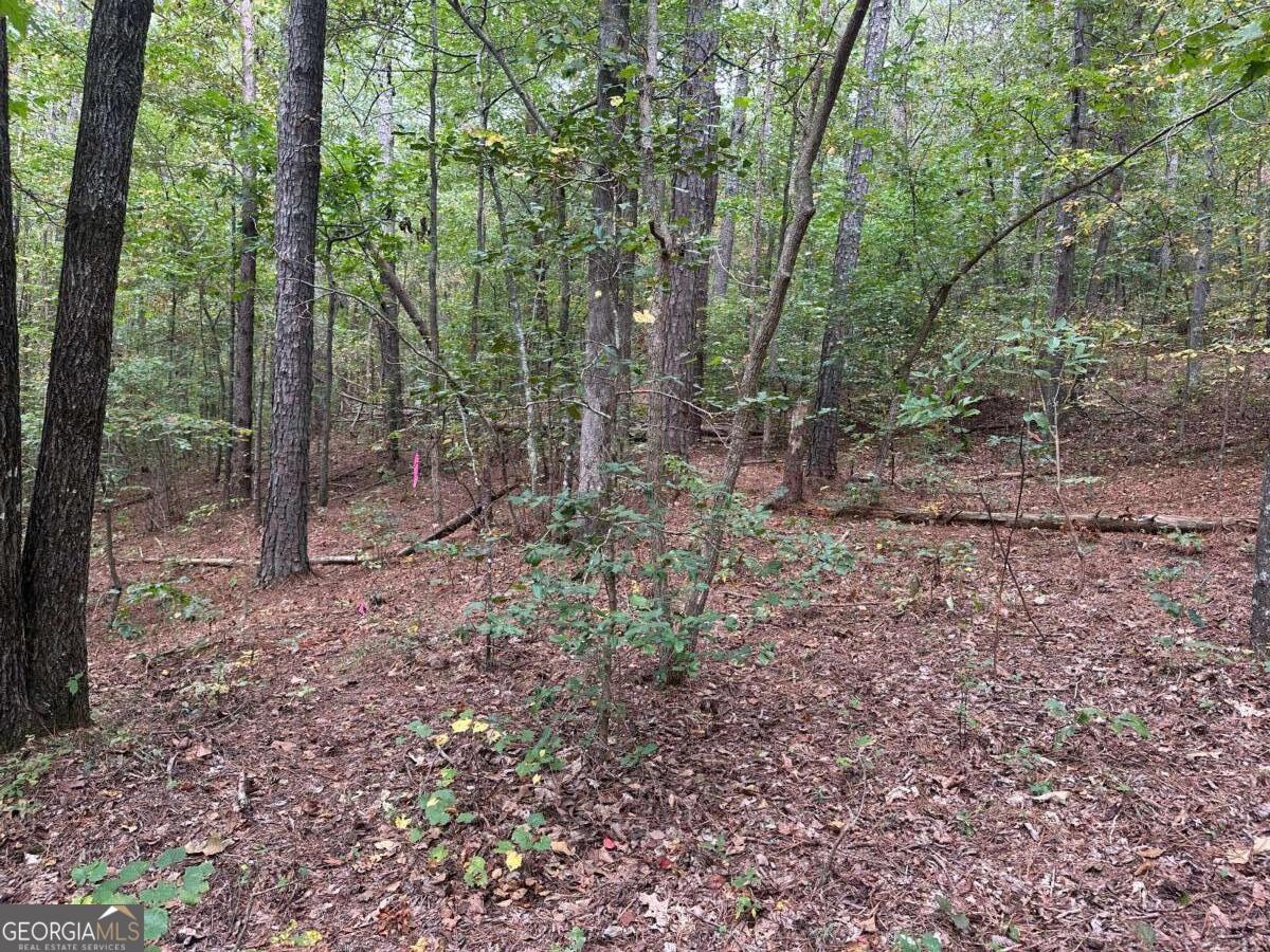 3842 Salacoa-tract A Waleska GA 30183