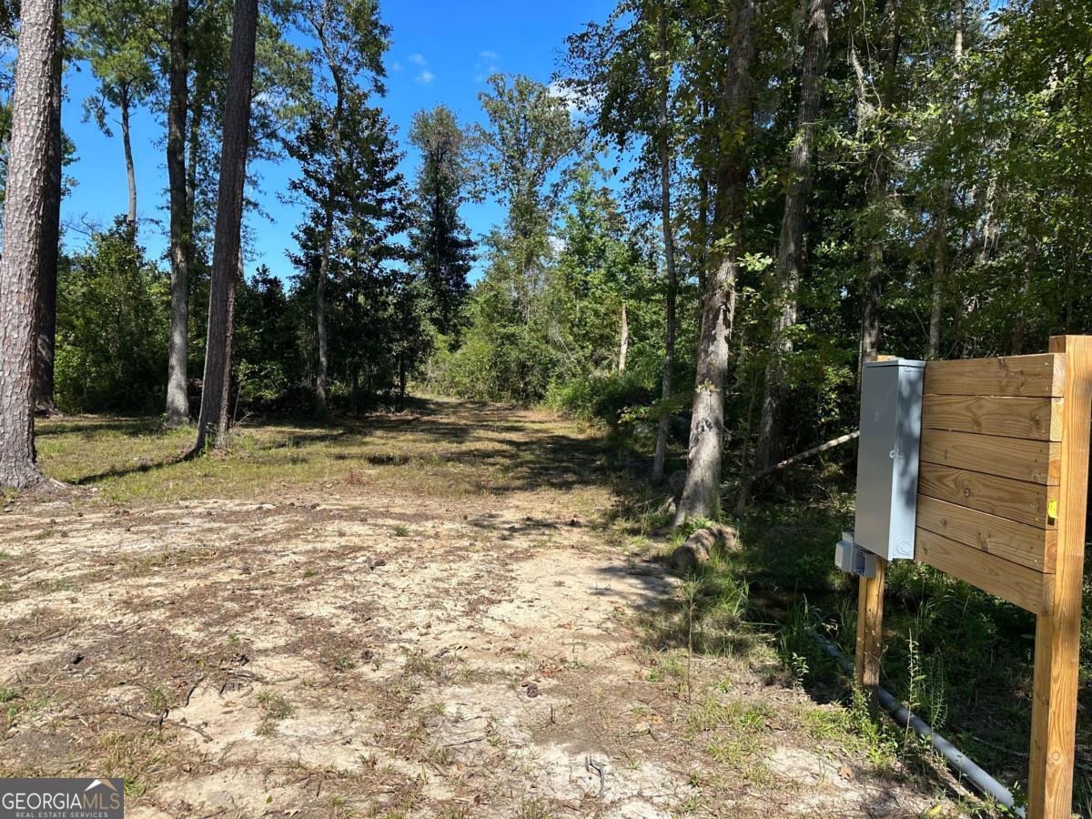 0 Dead River Road Lots #25, 26, 27, 32 Uvalda GA 30473