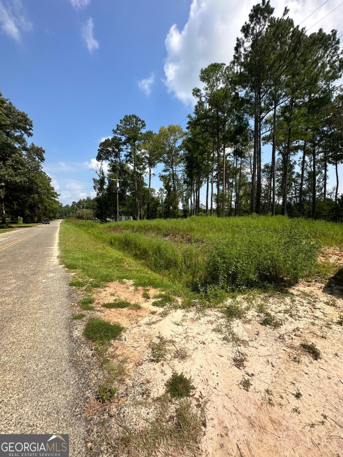 0 Dead River Road Lots #25, 26, 27, 32 Uvalda GA 30473