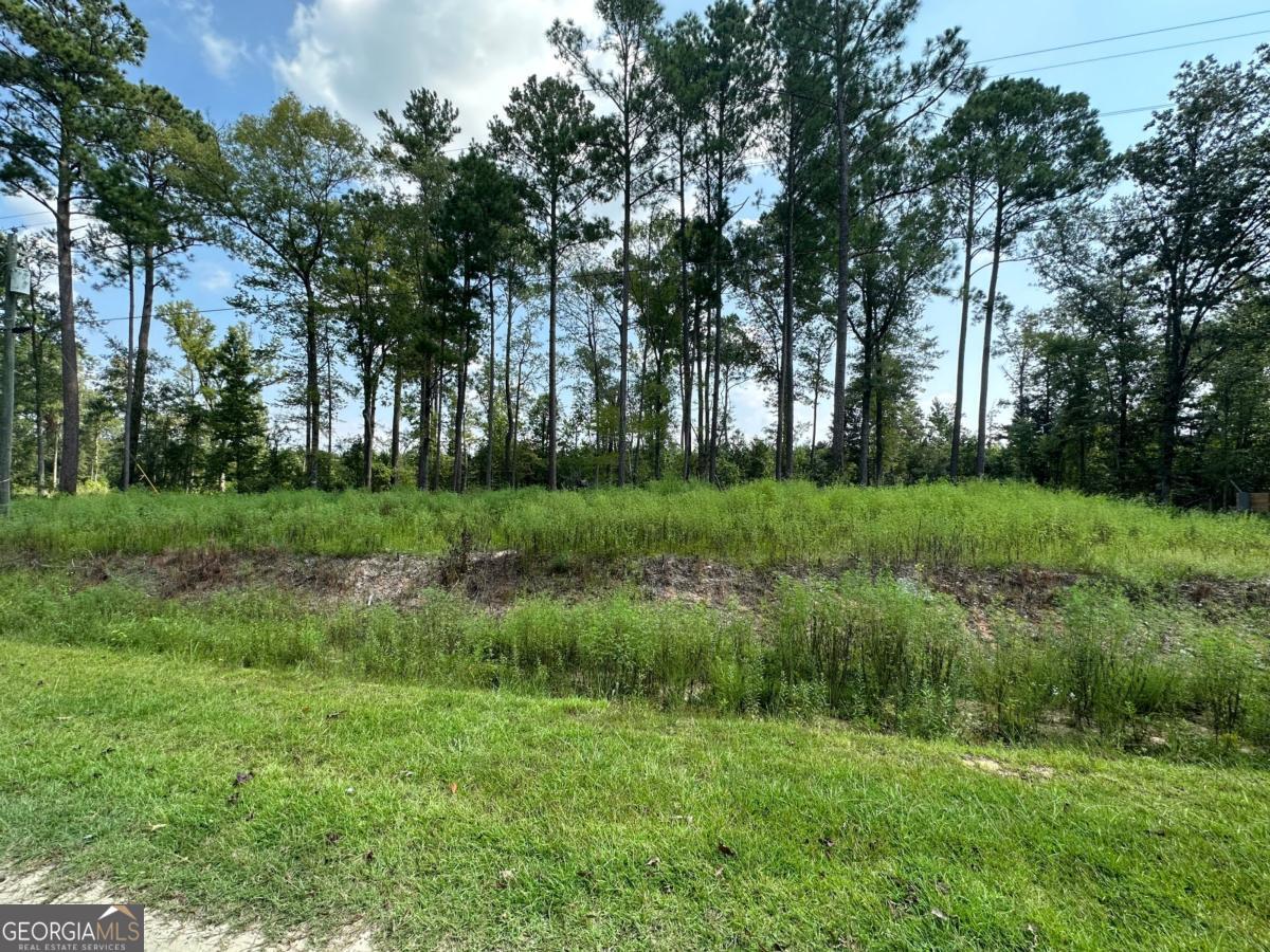 0 Dead River Road Lots #25, 26, 27, 32 Uvalda GA 30473