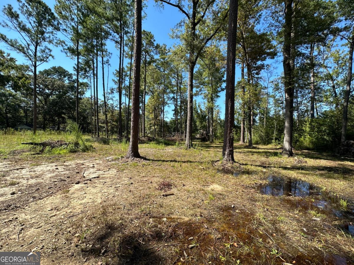 0 Dead River Road Lots #25, 26, 27, 32 Uvalda GA 30473
