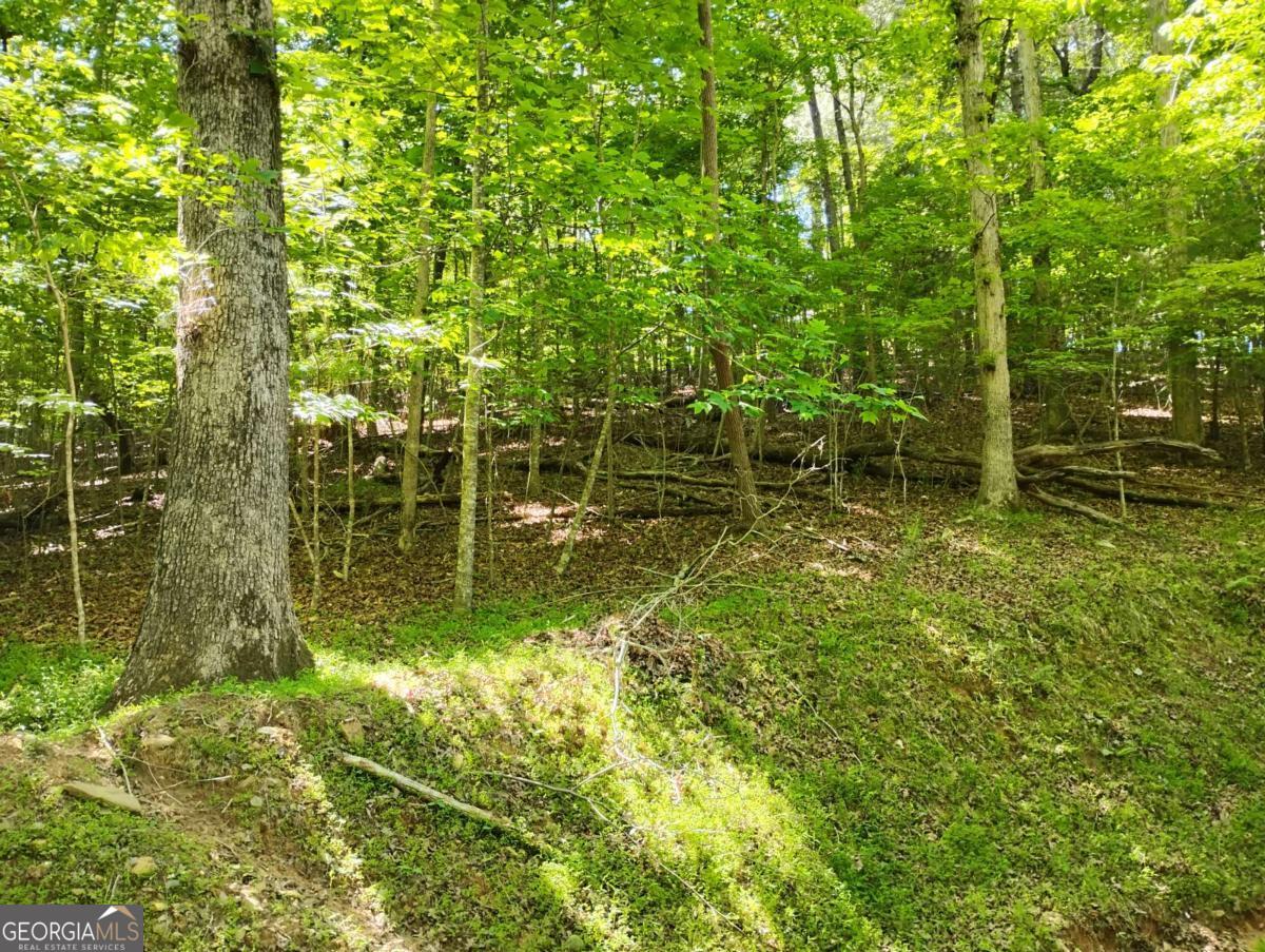 0 Gladstone Court Ellijay GA 30540