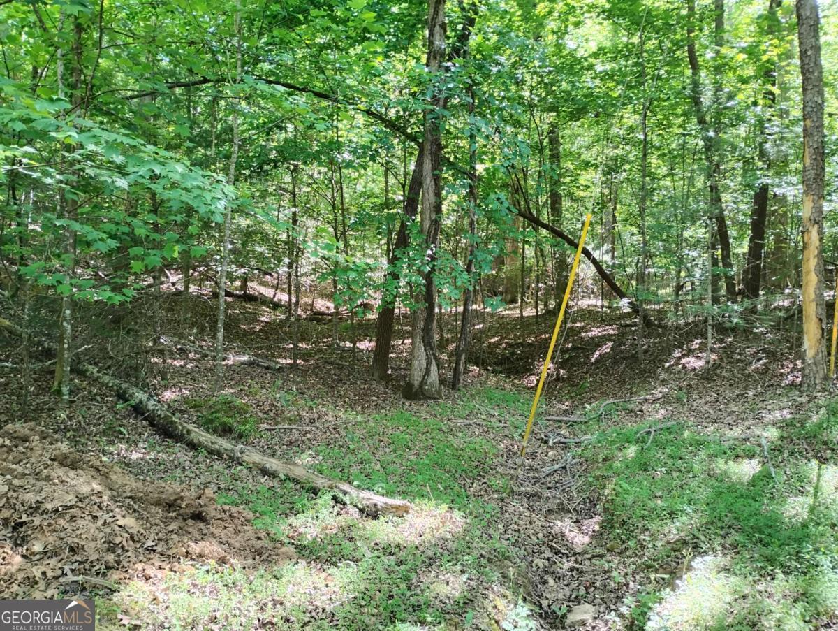 0 Gladstone Court Ellijay GA 30540