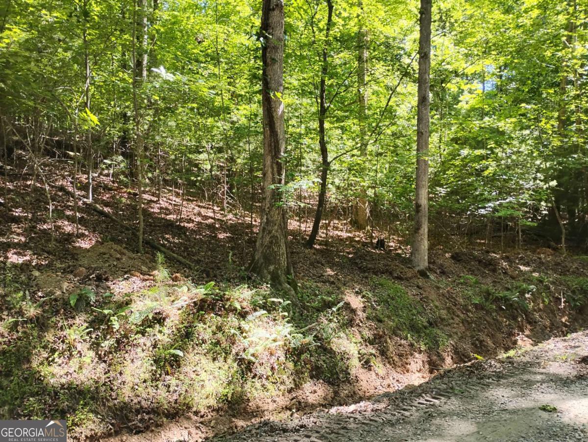 0 Gladstone Court Ellijay GA 30540