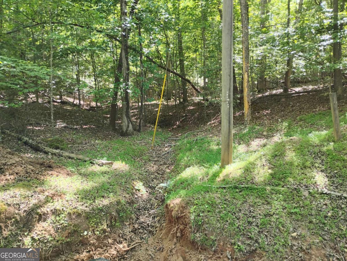 0 Gladstone Court Ellijay GA 30540