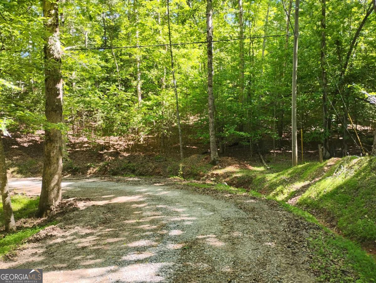 0 Gladstone Court Ellijay GA 30540