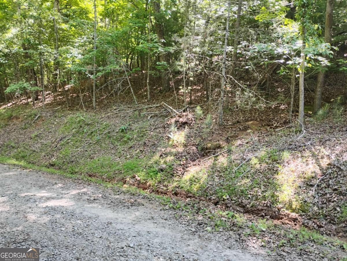 0 Gladstone Court Ellijay GA 30540