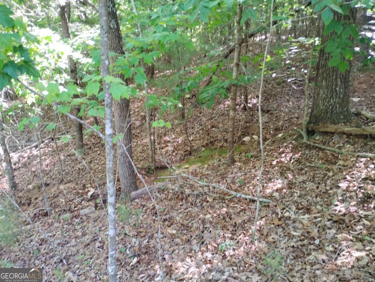 0 Gladstone Court Ellijay GA 30540