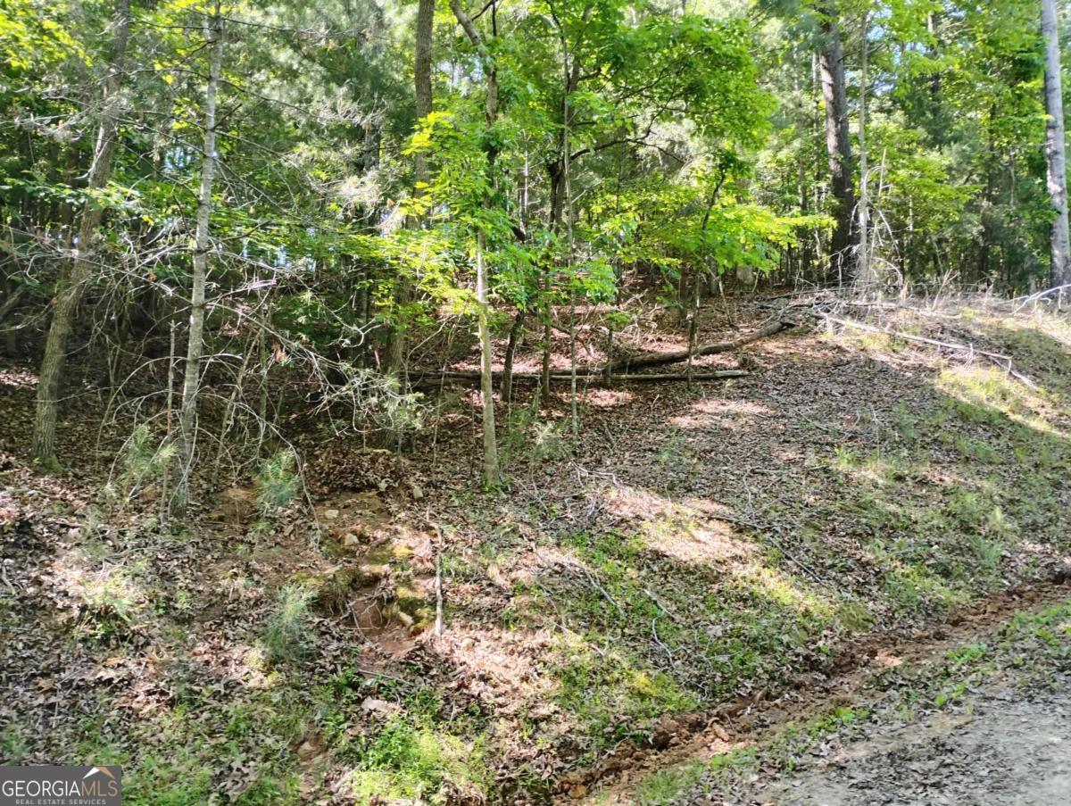 0 Gladstone Court Ellijay GA 30540