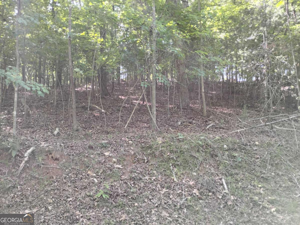 0 Gladstone Court Ellijay GA 30540