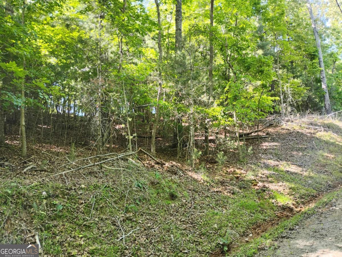 0 Gladstone Court Ellijay GA 30540