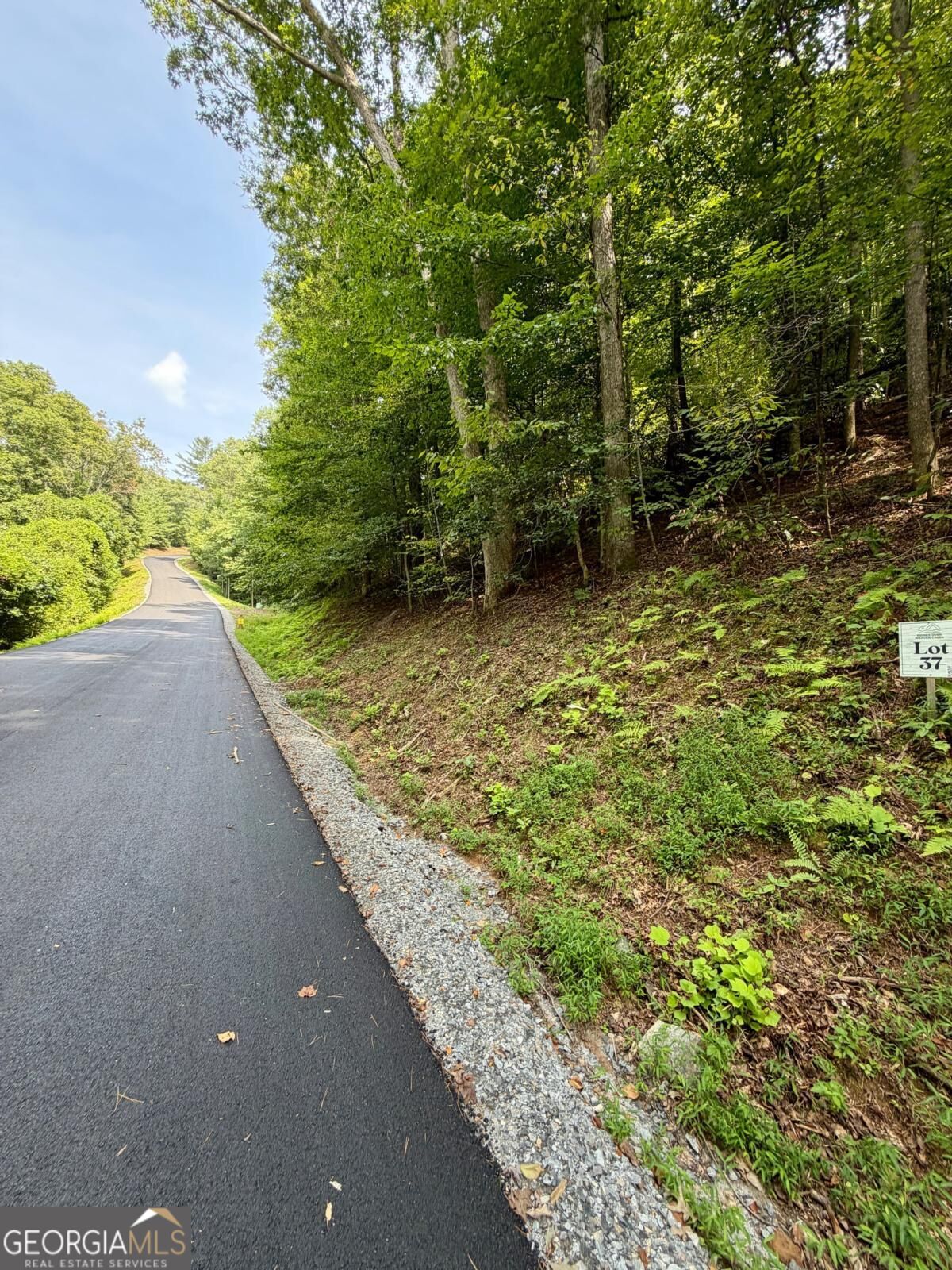 Lot 37 Blue Horizon Drive Blue Ridge GA 30513