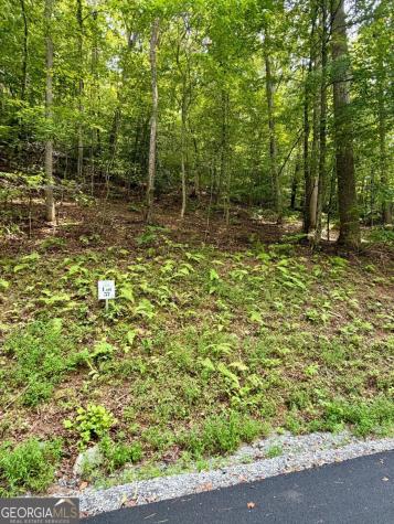 Lot 37 Blue Horizon Drive Blue Ridge GA 30513