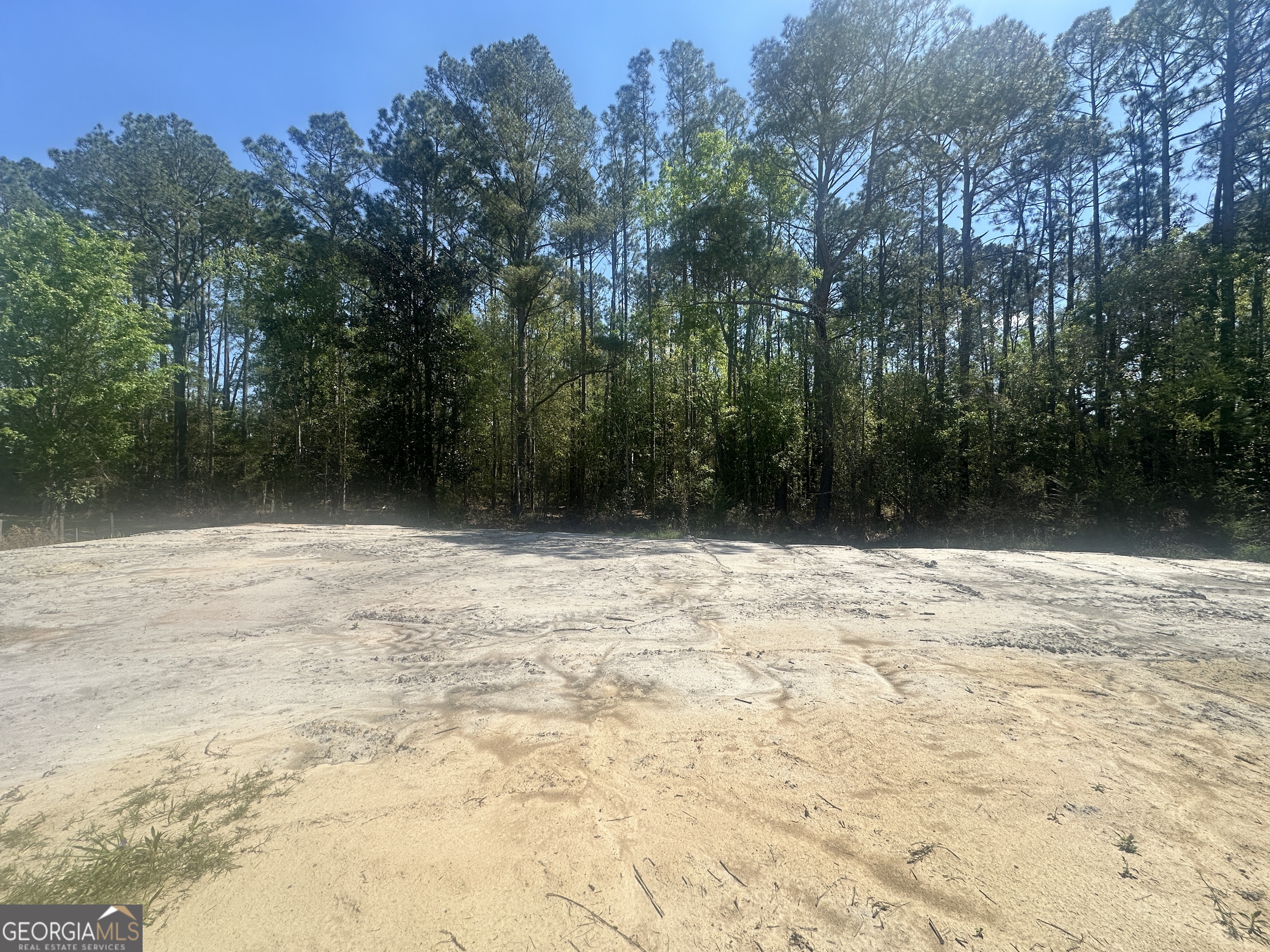 505 Pauline Avenue Ray City GA 31645