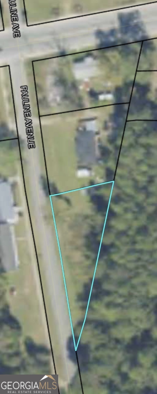 505 Pauline Avenue Ray City GA 31645
