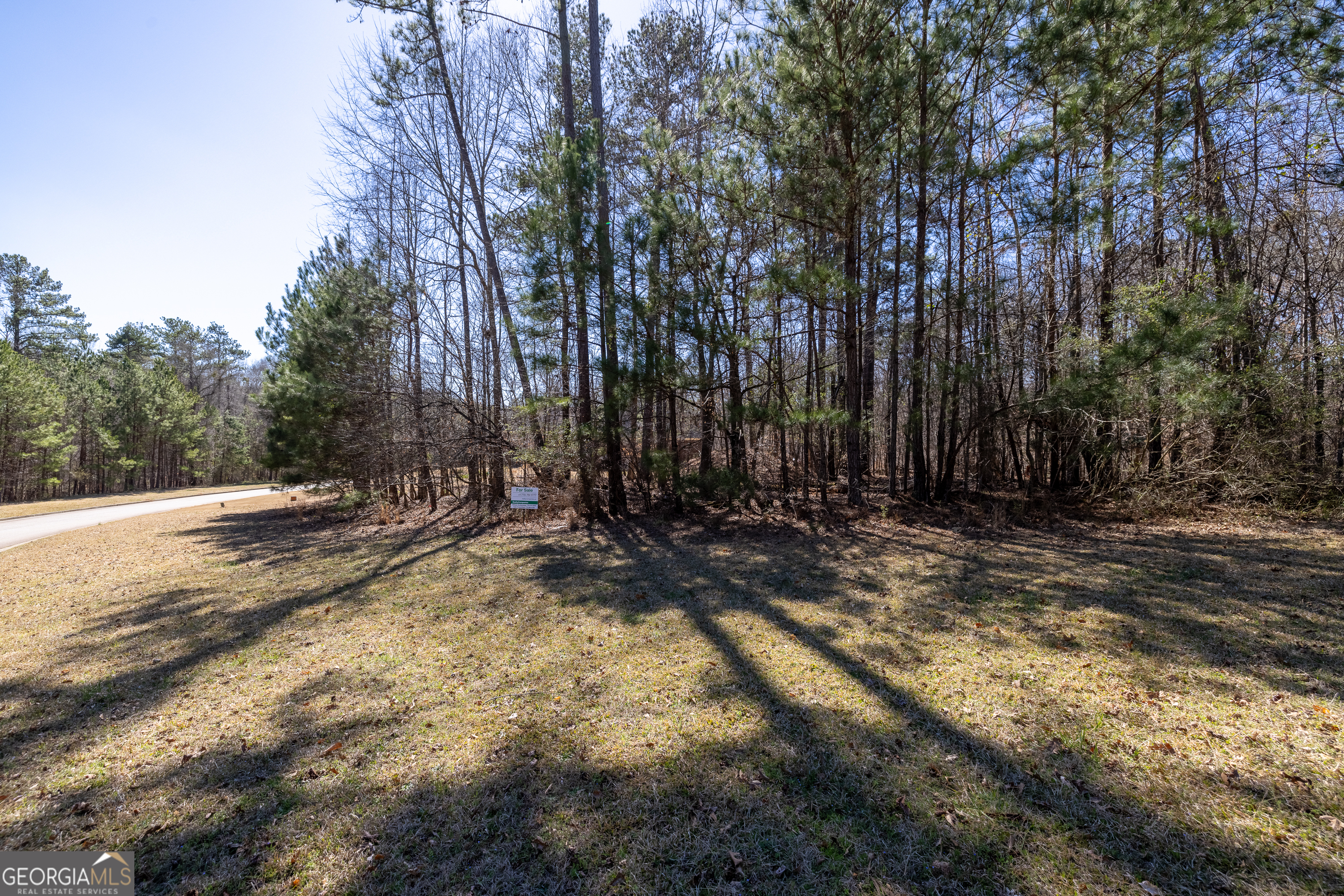 2037 Fontainbleau Drive Conyers GA 30094