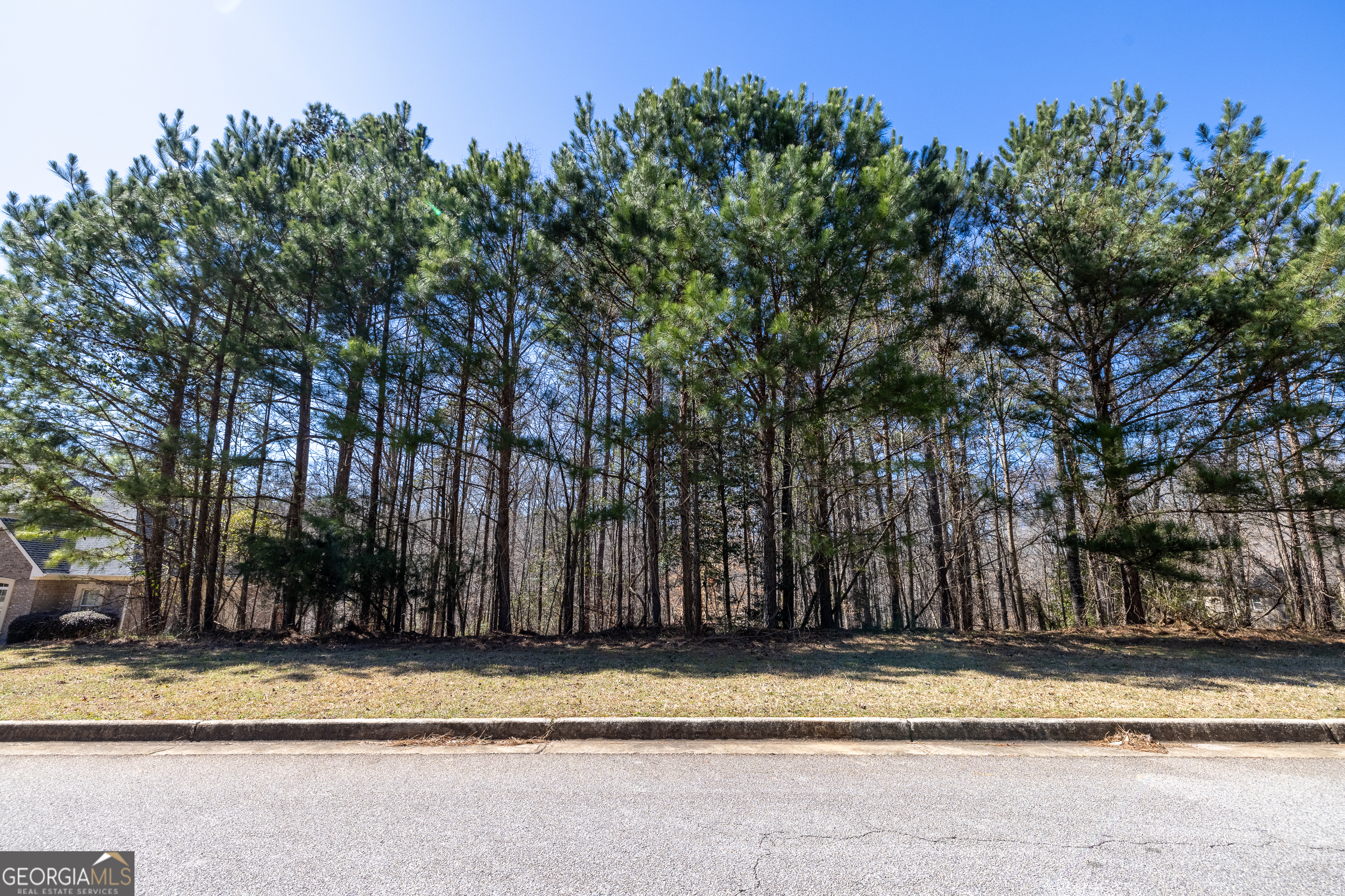 2037 Fontainbleau Drive Conyers GA 30094